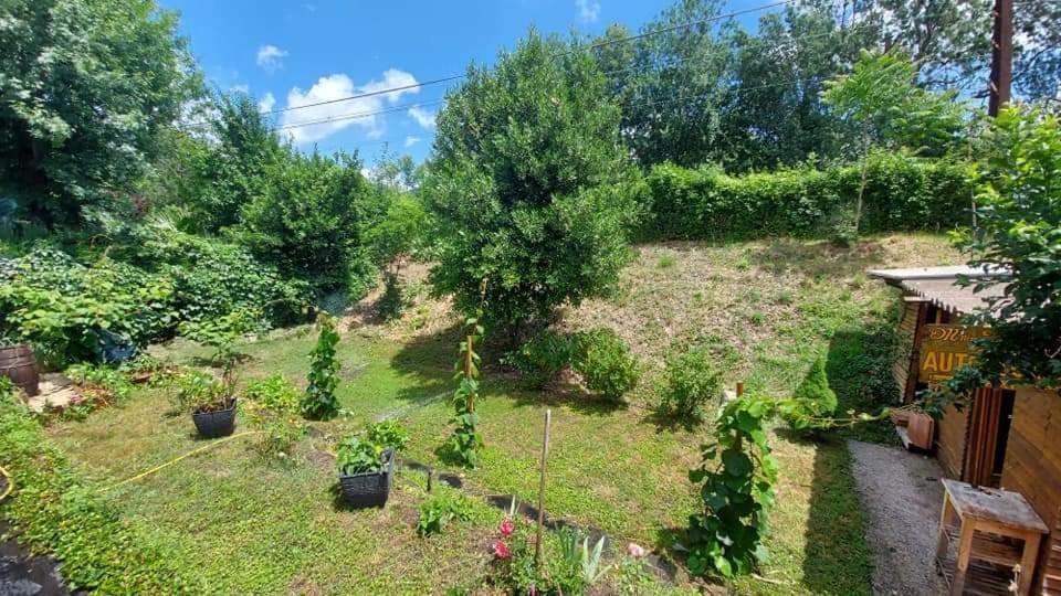 Villa Mimosa Le Bousquet-d'Orb Εξωτερικό φωτογραφία